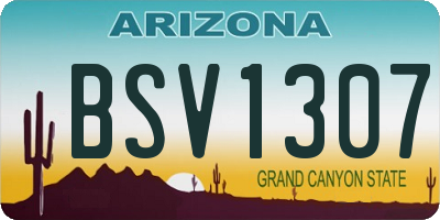AZ license plate BSV1307