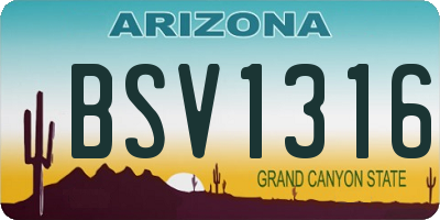 AZ license plate BSV1316
