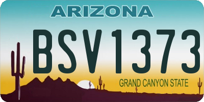 AZ license plate BSV1373