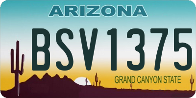 AZ license plate BSV1375