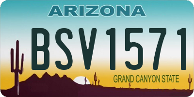 AZ license plate BSV1571