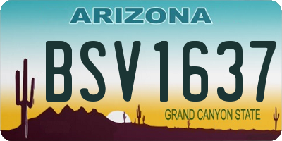AZ license plate BSV1637