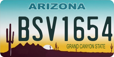 AZ license plate BSV1654