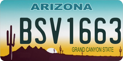 AZ license plate BSV1663