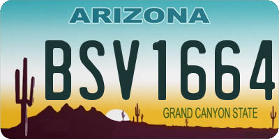 AZ license plate BSV1664