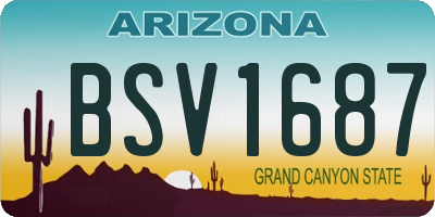 AZ license plate BSV1687
