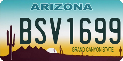 AZ license plate BSV1699