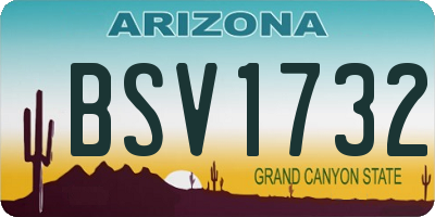 AZ license plate BSV1732