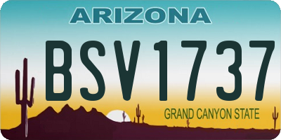 AZ license plate BSV1737