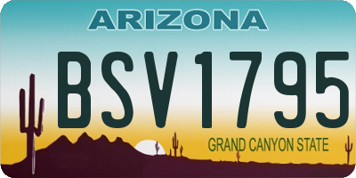 AZ license plate BSV1795
