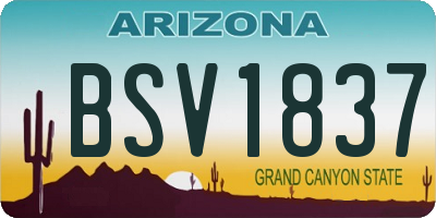 AZ license plate BSV1837