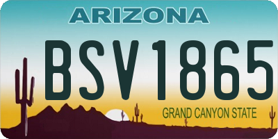 AZ license plate BSV1865