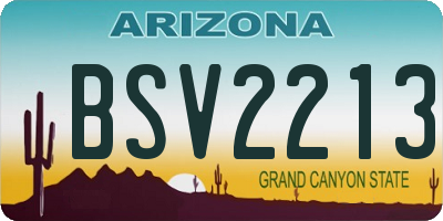 AZ license plate BSV2213