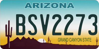 AZ license plate BSV2273