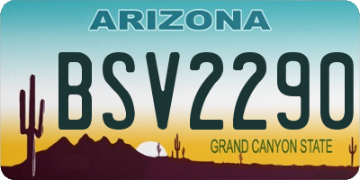 AZ license plate BSV2290