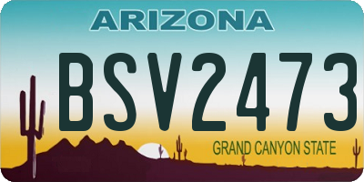 AZ license plate BSV2473