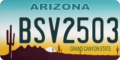 AZ license plate BSV2503