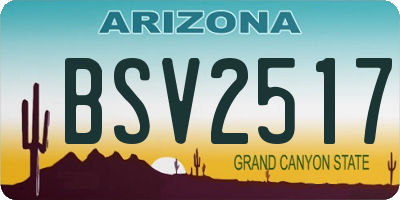 AZ license plate BSV2517