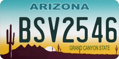 AZ license plate BSV2546