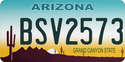 AZ license plate BSV2573