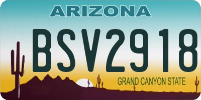 AZ license plate BSV2918