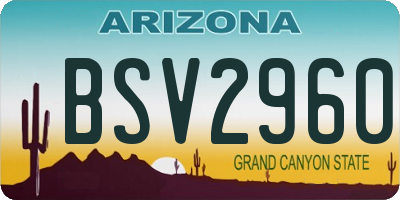 AZ license plate BSV2960