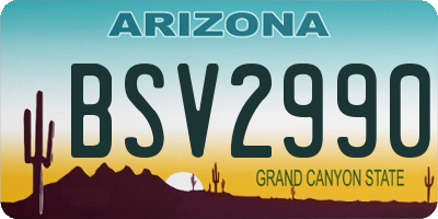 AZ license plate BSV2990
