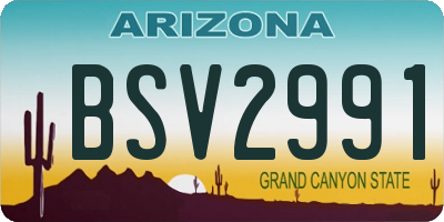AZ license plate BSV2991