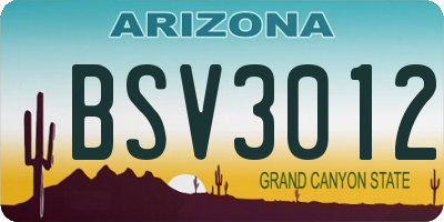 AZ license plate BSV3012