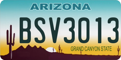 AZ license plate BSV3013