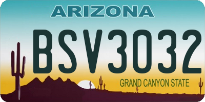 AZ license plate BSV3032