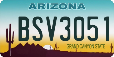 AZ license plate BSV3051