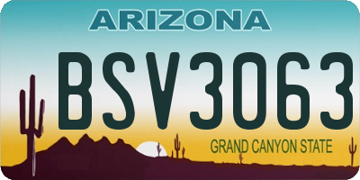AZ license plate BSV3063