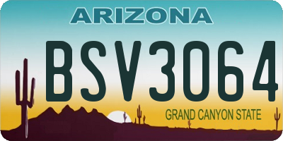 AZ license plate BSV3064