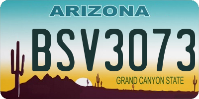AZ license plate BSV3073