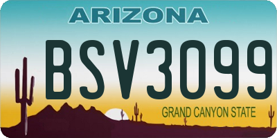 AZ license plate BSV3099