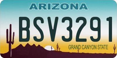 AZ license plate BSV3291