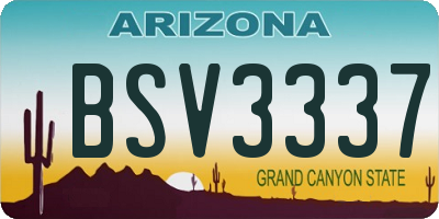 AZ license plate BSV3337