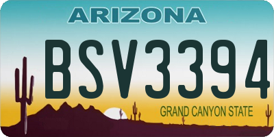 AZ license plate BSV3394