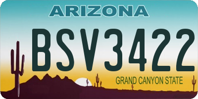 AZ license plate BSV3422