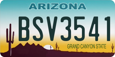 AZ license plate BSV3541