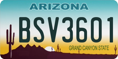 AZ license plate BSV3601