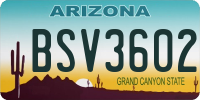 AZ license plate BSV3602