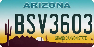 AZ license plate BSV3603