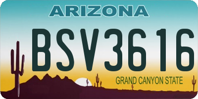 AZ license plate BSV3616