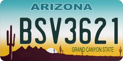 AZ license plate BSV3621