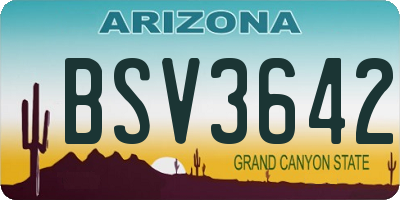 AZ license plate BSV3642