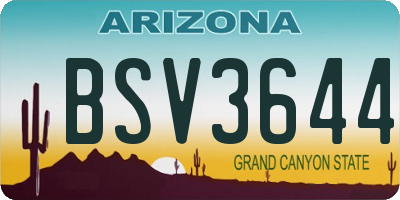 AZ license plate BSV3644