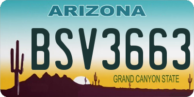 AZ license plate BSV3663