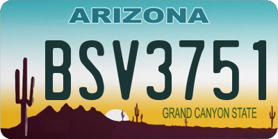 AZ license plate BSV3751